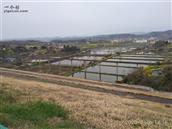 湖北省,随州市,随县,柳林镇,古城畈社区