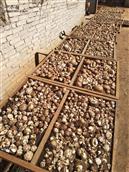 湖北省,随州市,随县,柳林镇,古城畈社区