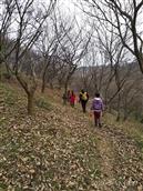 湖北省,随州市,随县,柳林镇,古城畈社区