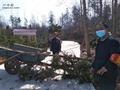 湖北省,随州市,随县,柳林镇,古城畈社区