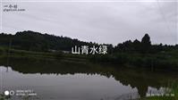 河南省,安阳市,汤阴县,宜沟镇,牛村