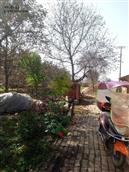 甘肃省,庆阳市,宁县,中村乡,秦店村