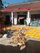 甘肃省,庆阳市,宁县,中村乡,秦店村