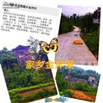 四川省,广安市,武胜县,宝箴塞乡,金斧村