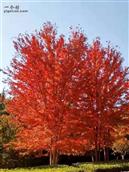 北京市,通州区,台湖镇,水南村