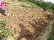 广东省,梅州市,五华县,龙村镇,三湖村