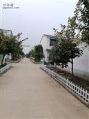 安徽省,亳州市,利辛县,程家集镇,汪庄户村