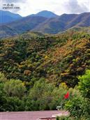 北京市,门头沟区,清水镇,黄塔村