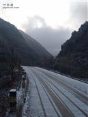 甘肃省,陇南市,成县,沙坝镇,桦树村