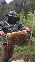 加作村 加作村的产业：蜂蜜