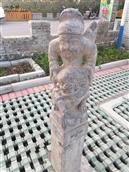河南省,三门峡市,灵宝市,焦村镇,沟东村