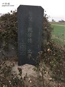 山东省,济南市,商河县,殷巷镇,小屯村