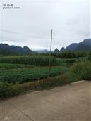 广西,贵港市,桂平市,西山镇,上垌村