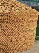 山西省,长治市,壶关县,龙泉镇,董家坡村