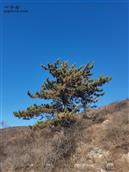 山西省,长治市,壶关县,龙泉镇,董家坡村