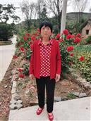 山西省,长治市,壶关县,龙泉镇,董家坡村