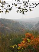 张家石岭村 东沟的秋天，美如画