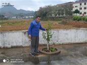 广东省,梅州市,兴宁市,径南镇,宝兴村