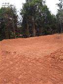 广东省,梅州市,兴宁市,径南镇,宝兴村