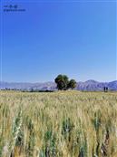 甘肃省,兰州市,永登县,连城镇,牛站村