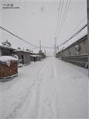 山东省,威海市,文登区,高村镇,莲花城村