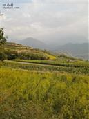 甘肃省,定西市,渭源县,峡城乡,康家村