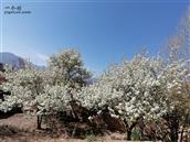 甘肃省,定西市,渭源县,峡城乡,康家村