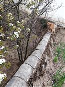 甘肃省,定西市,渭源县,峡城乡,康家村