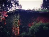 山东省,烟台市,招远市,夏甸镇,禾木程家村