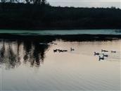 山东省,烟台市,招远市,夏甸镇,禾木程家村