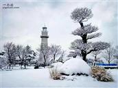 山东省,临沂市,沂水县,龙家圈镇,下肖家沟村