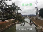 浙江省,温州市,瑞安市,仙降街道,街头村