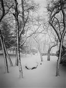 山东省,临沂市,沂水县,龙家圈镇,下肖家沟村