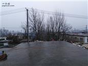 山东省,泰安市,东平县,接山镇,纸坊村