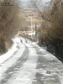 甘肃省,天水市,甘谷县,礼辛乡,杨湾村