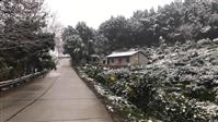 龙水村 雪境