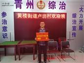 山东省,潍坊市,青州市,黄楼街道,卢坊村
