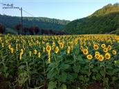 吉林省,白山市,抚松县,北岗镇,蒲春河村