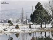 吴桥村 家乡美丽的雪景
