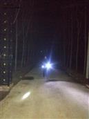 山东省,临沂市,平邑县,卞桥镇,刘家崖村