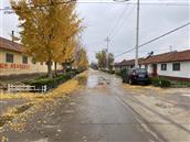 山东省,潍坊市,高密市,朝阳街道,李家疃村