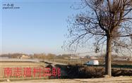 陕西省,渭南市,临渭区,官路镇,南志道村