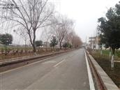 旺午村 整洁的公路