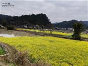 贵州省,黔东南州,榕江县,寨蒿镇,扒王村