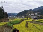 贵州省,黔东南州,榕江县,寨蒿镇,扒王村