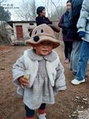 甘肃省,陇南市,成县,沙坝镇,桦树村