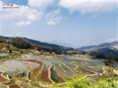 四川省,宜宾市,叙州区,龙池乡,双柏村