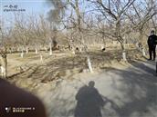 新疆,和田地区,皮山县,木吉乡,尕孜恰喀村