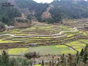 贵州省,黔东南州,榕江县,寨蒿镇,扒王村