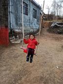 甘肃省,陇南市,成县,沙坝镇,桦树村